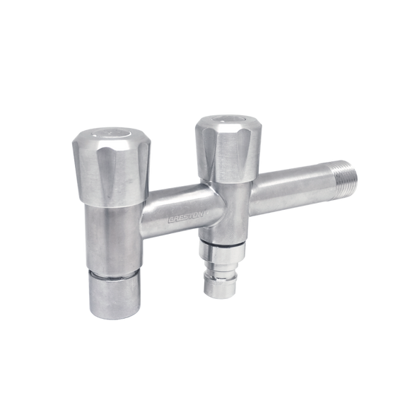 Stainless Steel Dual Faucet