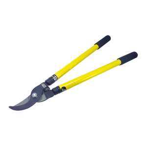 Extendable lopping shears