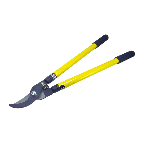 Extendable lopping shears