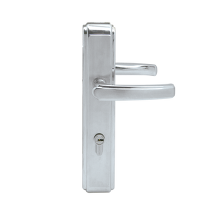 Main door handleset