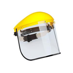 Face shield