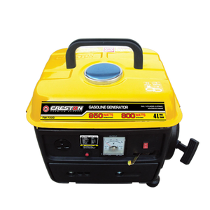 Gasoline generator