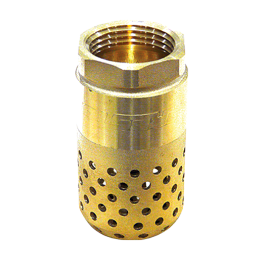Foot valve
