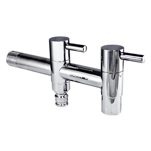 Dual faucet