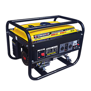 Gasoline generator